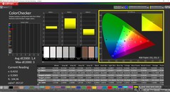 CalMAN ColorChecker (Profiel: sRGB, Doelkleurruimte: sRGB)