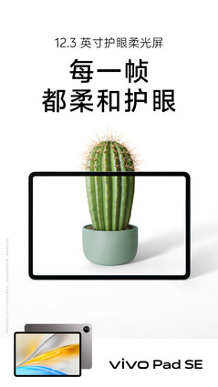 (Afbeeldingsbron: Vivo)