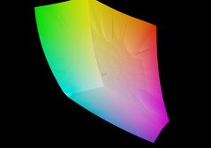 Erazer Beest 16 X1 vs sRGB