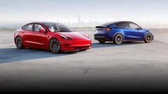 Basismodel 3 en Model Y hebben LFP-batterijen van Chinese makelij (afbeelding: Tesla)