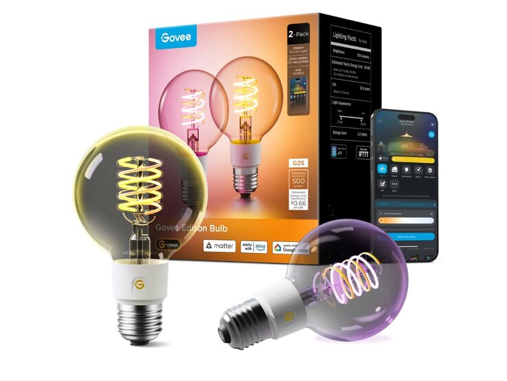 De Govee E26 slimme Edison gloeilamp G25