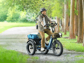 De Puckipuppy Rottweiler e-trike heeft een volledig veersysteem (Afbeelding bron: Puckipuppy)