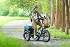 De Puckipuppy Rottweiler e-trike heeft een volledig veersysteem (Afbeelding bron: Puckipuppy)