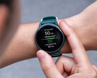De Vivoactive 6 heeft de afgelopen weken drie updates met dezelfde veranderingen ontvangen. (Afbeelding bron: Garmin)
