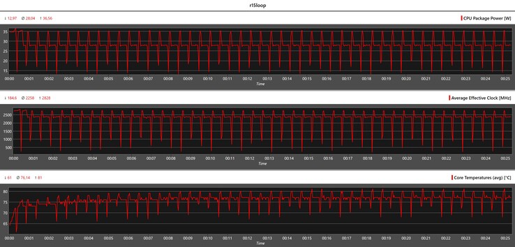 CPU-gegevens tijdens de Cinebench R15-lus
