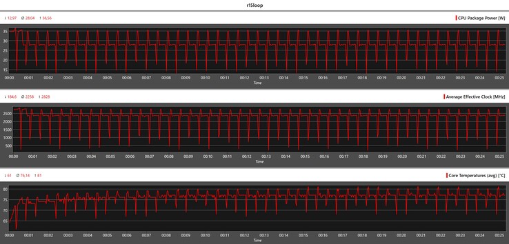 CPU-gegevens tijdens de Cinebench R15-lus