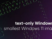 Tiny11-ontwikkelaar brengt Windows 11 terug tot zijn minimale vorm (Afbeeldingsbron: NTDev)