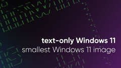 Tiny11-ontwikkelaar brengt Windows 11 terug tot zijn minimale vorm (Afbeeldingsbron: NTDev)
