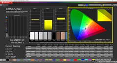 CalMAN ColorChecker (profiel: standaard, doelkleurruimte: P3)