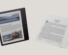 De Boox Go Color 7 (Gen II) en Boox Go 7 zijn Android-gevoede E Ink lezers. (Afbeeldingsbron: Boox)