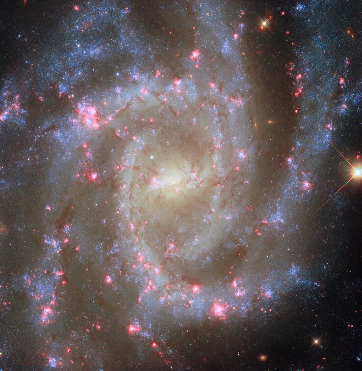 Het POTW-beeld van NGC 2835 (Beeldbron: ESA, NASA, R. Chandar, J. Lee en het PHANGS-HST team)