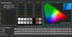 CalMan ColorChecker gekalibreerd