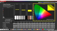 CalMAN ColorChecker (profiel: Display-P3, doelkleurruimte P3)