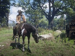 Afbeelding van Arthur Morgan op zijn paard in Red Dead Redemption 2. (Afbeelding bron: Rockstar Games) 
