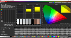 CalMAN ColorChecker (doelkleurruimte P3)