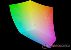 Asus Vivobook vs. sRGB kleurruimte