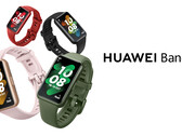 De Huawei Band 7 zal verkrijgbaar zijn in vier kleuren, alle met een dunnere en lichtere behuizing dan de Band 6. (Afbeelding bron: Huawei)