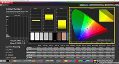 CalMAN ColorChecker (Profiel: P3, Doelkleurruimte: P3)