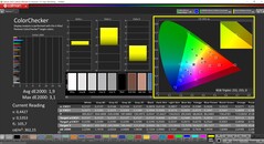 CalMAN ColorChecker (profiel: native, doelkleurruimte: P3)
