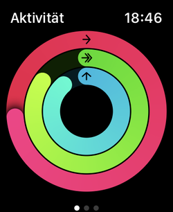 Drie activiteitenringen voor bewegingen (rood), trainingen (groen) en staan (blauw).