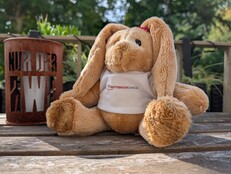 Google Pixel 10 Pro: Voorbeeldfoto