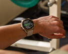 De Fenix 8 is een van de smartwatches die in de rij staan voor een v17.xx stabiele update. (Afbeelding bron: Garmin)