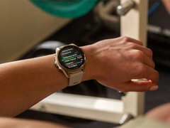 De Fenix 8 is een van de smartwatches die in de rij staan voor een v17.xx stabiele update. (Afbeelding bron: Garmin)