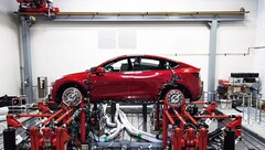 Goedkope Robotaxi-productie druppelt naar de Model Y (afbeelding: Tesla)