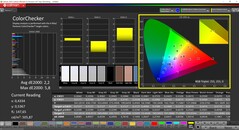 CalMAN ColorChecker (profiel: standaard, doelkleurruimte: P3)