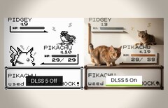 Na 30 jaar wordt de waarheid eindelijk onthuld - Pidgey is een kat in een duivenkostuum.