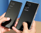 De Pixel 6a lijkt een snellere vingerafdrukscanner te hebben dan de Pixel 6 Pro. (Afbeelding bron: Fazli Halim)