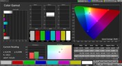 CalMAN kleurruimte sRGB - extern beeldscherm