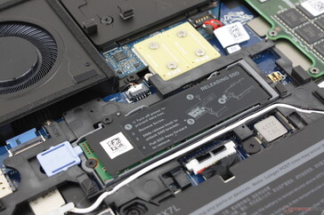 Bezette SSD-sleuf in het midden. Dell biedt een optioneel klein luikje op de bodemplaat voor gemakkelijkere toegang tot deze schijf zonder de hele bodemplaat te moeten verwijderen
