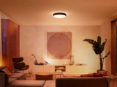 De Philips Hue Bridge ondersteunt nu de komende All-day scènes. (Afbeeldingsbron: Philips Hue)