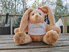 Honor Magic7 Pro: Voorbeeldfoto