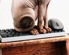 Wallhack betreedt de markt voor gamingtoetsenborden en -muizen.