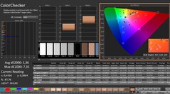 CalMAN: ColorChecker (gekalibreerd)