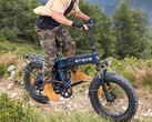 Engine Pro 3.0 Boost: Een opvouwbare e-bike die ook geschikt is voor off-road gebruik. (Afbeelding bron: Engwe)