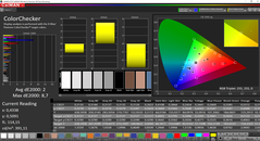 CalMAN ColorChecker gekalibreerd