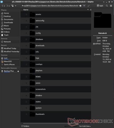 U hebt zelfs toegang tot de bestanden van specifieke apps, zoals RetroArch.