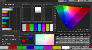 CalMan-kleurruimte (doelkleurruimte: sRGB)