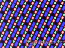 OLED subpixel array. De korreligheid is moeilijk te zien op de camera