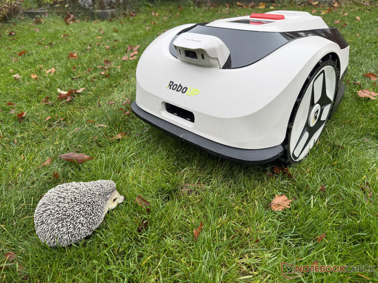 De Raccoon 2 SE herkende onze egelpop niet altijd tijdens de test