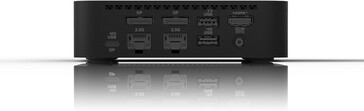Er zijn twee Ethernet-poorten beschikbaar. (Afbeeldingsbron: Asus)