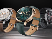 De Honor Watch 4 Pro is de spirituele opvolger van de Watch GS 3. (Afbeeldingsbron: Honor)