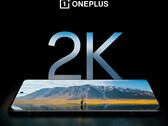 De OnePlus 12 heeft naar verluidt het beste beeldscherm voor smartphones, althans volgens OnePlus. (Afbeeldingsbron: OnePlus)