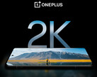 De OnePlus 12 heeft naar verluidt het beste beeldscherm voor smartphones, althans volgens OnePlus. (Afbeeldingsbron: OnePlus)