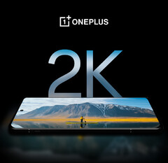 De OnePlus 12 heeft naar verluidt het beste beeldscherm voor smartphones, althans volgens OnePlus. (Afbeeldingsbron: OnePlus)