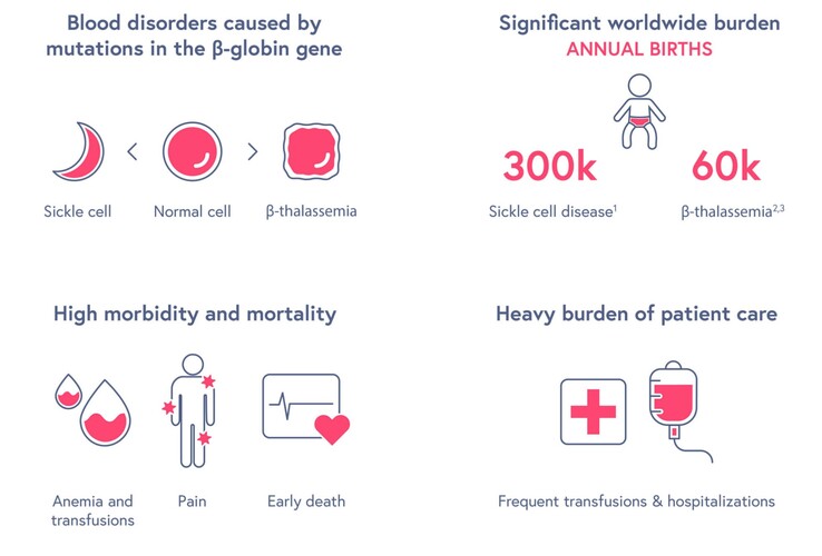Overzicht sikkelcelziekte. (Bron: CRISPR Therapeutics)