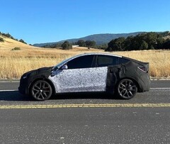 De 2026 Model Y Performance in camouflage van een testezel. (Afbeeldingsbron: ConfidentImage4266/Reddit)